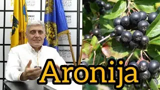 DA LI JE ARONIJA STVARNO ZDRAVA ILI JE TO MIT?