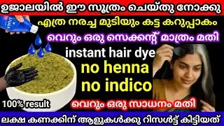 ഉജാലയിൽ ഈ സൂത്രം ചെയ്തു നോക്കു/നരച്ച മുടി ഒരു സെക്കന്റിൽ കട്ട കറുപ്പാക്കാം/only one incredient/viral