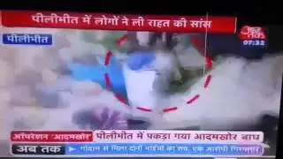 Pilibhit tiger attack(8)