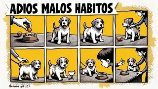 🐶 &iexcl;Secretos Revelados! 🤫 Lo Que Tu Adiestrador NO Quiere Que Sepas
