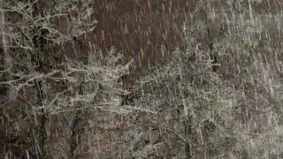 Starker Schneefall in Ingolstadt am 29.01.2026 - Schneefall Hautnah (TEIL (2) In den Fr&uuml;hstunden❄️❄️