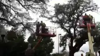 Toomers corner cleanup