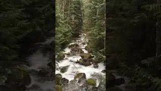 Raging Away | Humpback Creek | Annette Lake | North Bend, WA  #nature #waterfall  #mountains