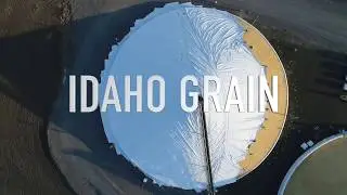 Idaho Grain