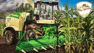LS19 True Farming #1159 - Maishäckseln und Anschiss für den BAUHOF! - Farming Simulator 19