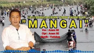 MANGAI -Acam SE, Lagu Dayak Tobak Tayan Hilir