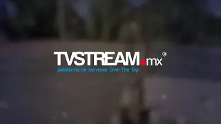 Bodega TvStream,  Construcci&oacute;n de nuestra bodega primer piso