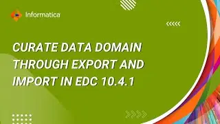 How to Curate Data Domain through Export and Import in EDC 10.4.1