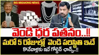 Advocate Ravieendranadh :Gold and Silver CRASH |Best Investment Strategy 2026 in telugu|SumanTV Usha