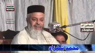 Allama Peer zia ul mustafa haqqani