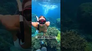 True beauty #contentcreator #bali
