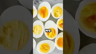 Top 3 Best Foods For Testosterone! 😱🥩
