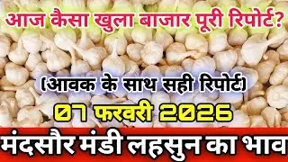 07 February 2026 new ooty lahsun ka bhav Mandsaur Mandi | Mandsaur mandi bhav | Ooty garlic