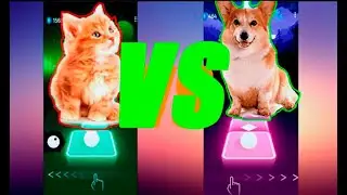 Cute Cat vs Cute Dog - Tiles Hop EDM Rush