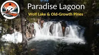Paradise Lagoon in Winter | Wolf Lake & the Old-Growth Forest | Ontario Nature Documentary