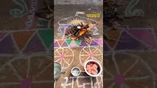 खलिपे परिवार || Ratha Saptami || तोंडोली #rathasaptami #rathasaptamipooja #rathasaptami2026 #khalipe
