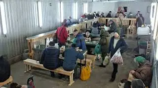 SPECIAL FEEDING DAY - A BIRTHDAY & THANKSGIVING