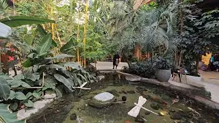 Center Parcs Allgäu, Germany. Market Dome Walktrough.