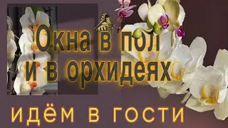 Она говорила-у меня ничего НЕ ЦВЕТЕТ в этом сезоне. Ну ну😜
