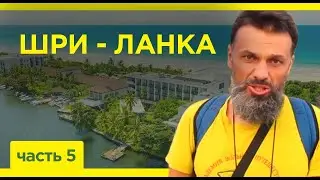 Самые старые мечети Шри-Ланки. Часть 5. Хузур-вояж с Антоном Кротовым