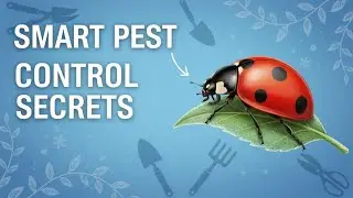 Think Winter Kills Garden Pests? Think Again!