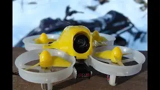 KingKong/ LDARC Tiny6 Review