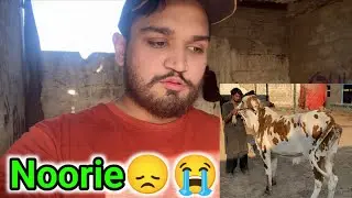 Noorie marty marty kese bachgai😞| aesa kia hoa iske sath😭😞