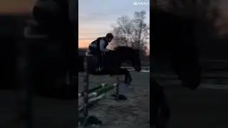 lowkirkuienly got left back but its okay cus shes amazing #horse #equestrian #riding #fyp
