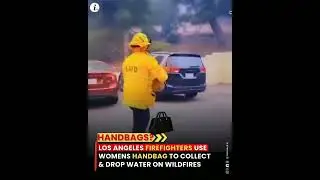 The Los Angeles Fire Department has adopted  #firedepartment #losangeles #wildfire #bags #funny #fir