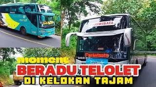 MOMEN BUS BUDIMAN BERADU KLAKSON TELOLET JADOEL DIIRINGI SUNAN AMBU, JASKUR, JACKAL HOLIDAY, SAFANA