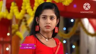 Tori pai to pai| 24th February 2026| Episodic Promo-880 Review | Tarang TV | Shorts