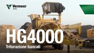 Trituratore Orizzontale Vermeer HG4000 - Bancali