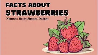 Strawberries | Kids educational video