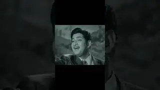 Golden Era Telugu Songs 🎶 | NTR to Shoban Babu Nostalgia! ❤️✨