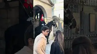 Tourists&rsquo; Reactions Meeting the Royal Horse for the First Time