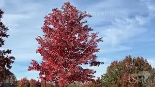 10-30-2022 Newtown, PA - Transitioning to Fall