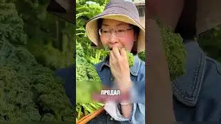 Уральский ГЕНИЙ продает отходы БОГАЧАМ😳🔥🥬