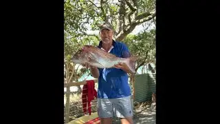 Caught my PB Snapper...