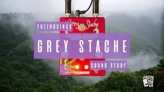 Sound Study // Fuzzrocious - Grey Stache/Heliotropic