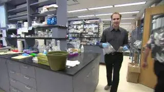 Penn State's Thomas E. Mallouk discusses solar energy research materials