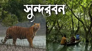 Sundarban Tour |1day |Sundarban travel |dipsaojal