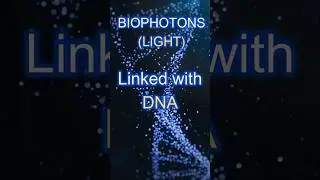 DNA; a Biophoton LIGHT Store within Life