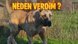 PANZERİ NEDEN VERDİM VE GERİ GELECEK Mİ ? ATLASLA PANZERİ TAKAS MI ETTİM ? 