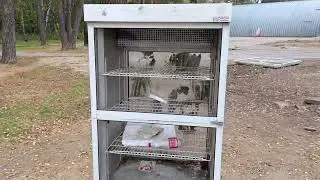 Открытый рынок Протвино после сноса