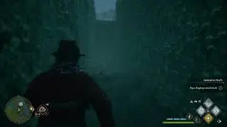 Hogwarts Legacy Hedge Maze!! How to Solve Hidden Hedge Mazes!!