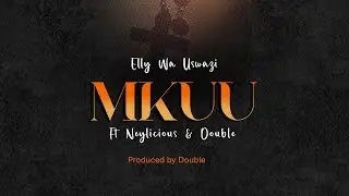 Elly Wa Uswazi Ft Neylicious & Double - Mkuu .