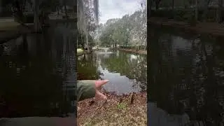 Understanding small pond management