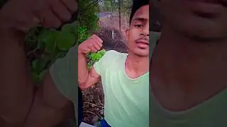 Gao Badmaso ka 👿 || mahendraprtap