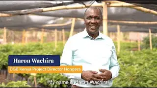 Interview Haron Wachira - DGB Kenya Project Director Hongera