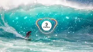 🦁 MR PROBZ - WAVES (K MULLY BOOTLEG) [Copyright Safe]
